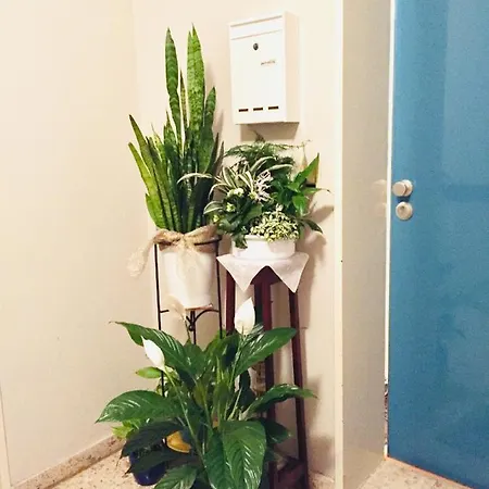 #welcometomessehannover#twobedroomapartment&balcony 하노버